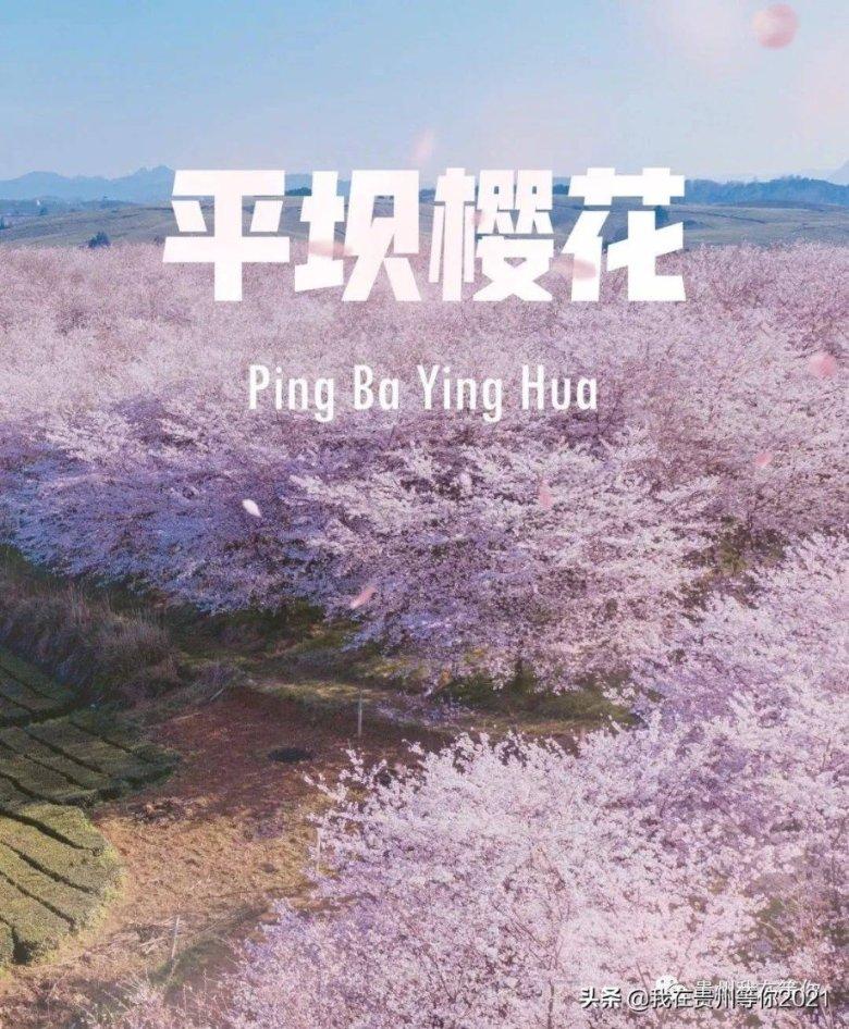 废品机械师